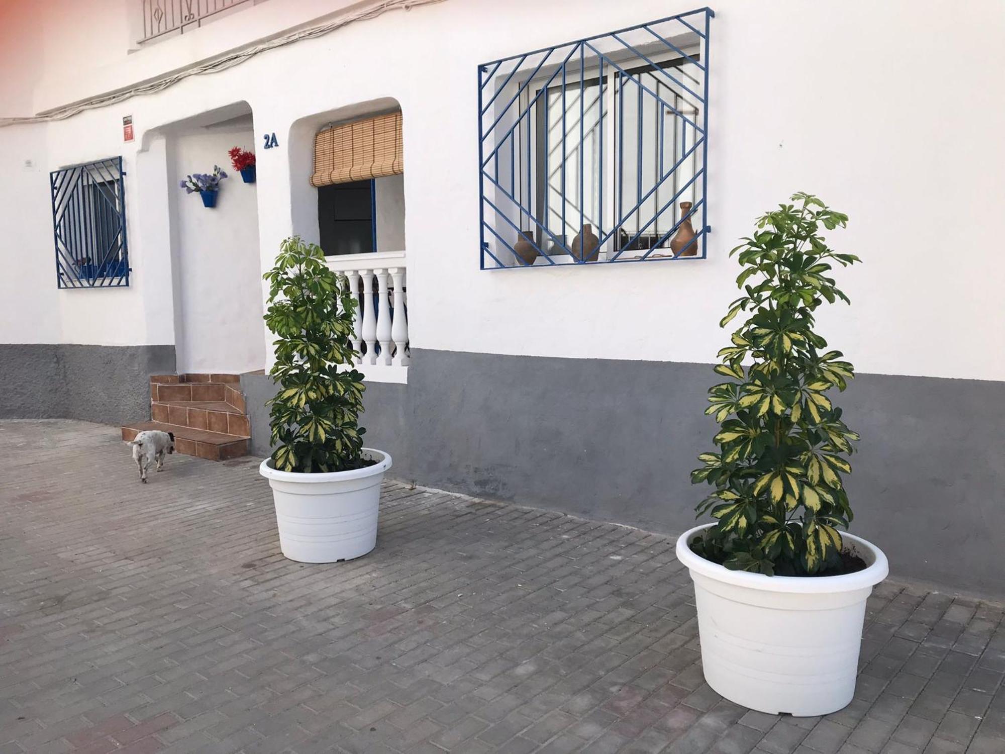Apartamentos Lolitalola Holidays 萨各夫雷纳 外观 照片